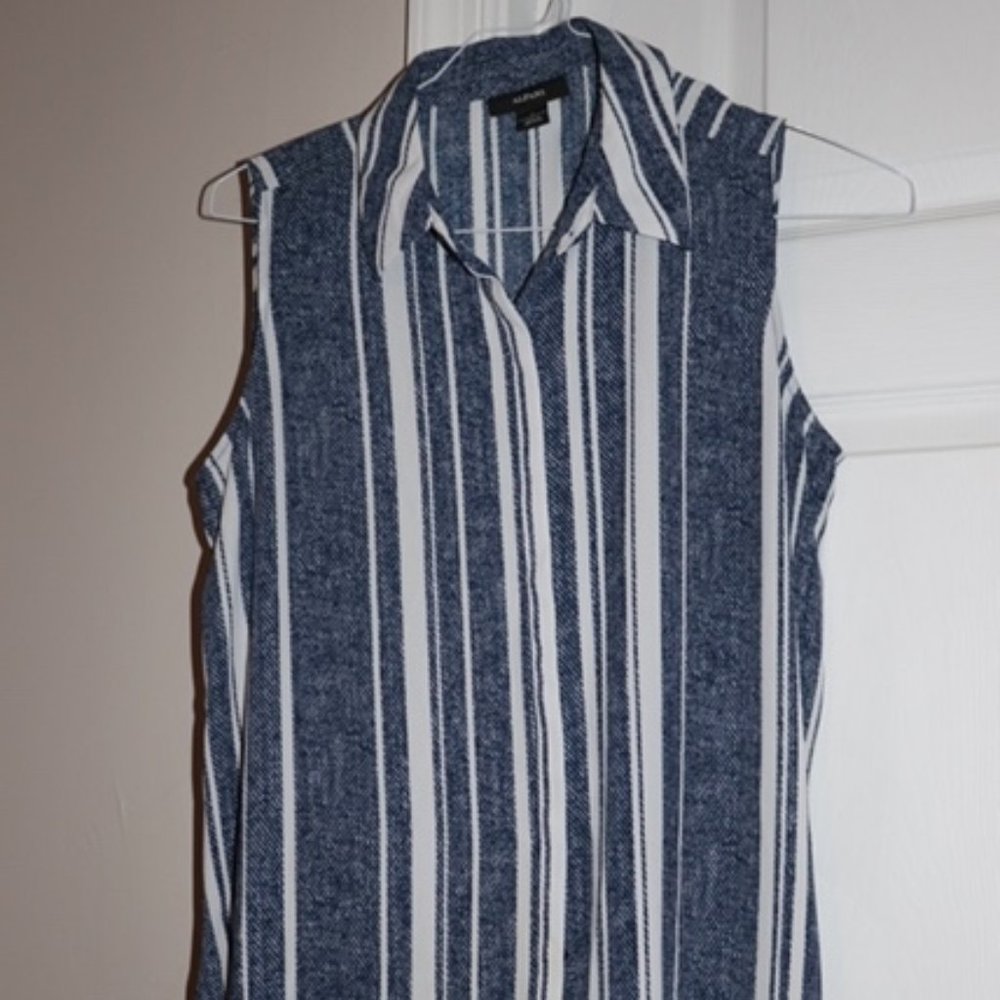 Blue and white penstriped Sleeveless Blouse